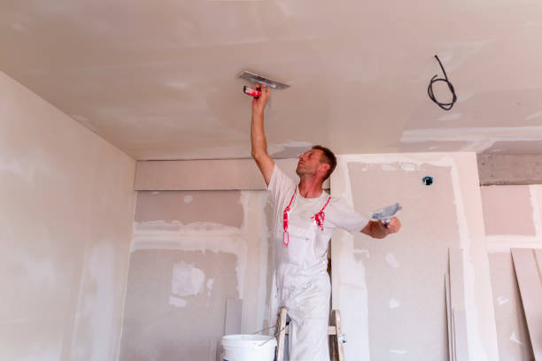 Best Commercial Painting  in Gallup, NM